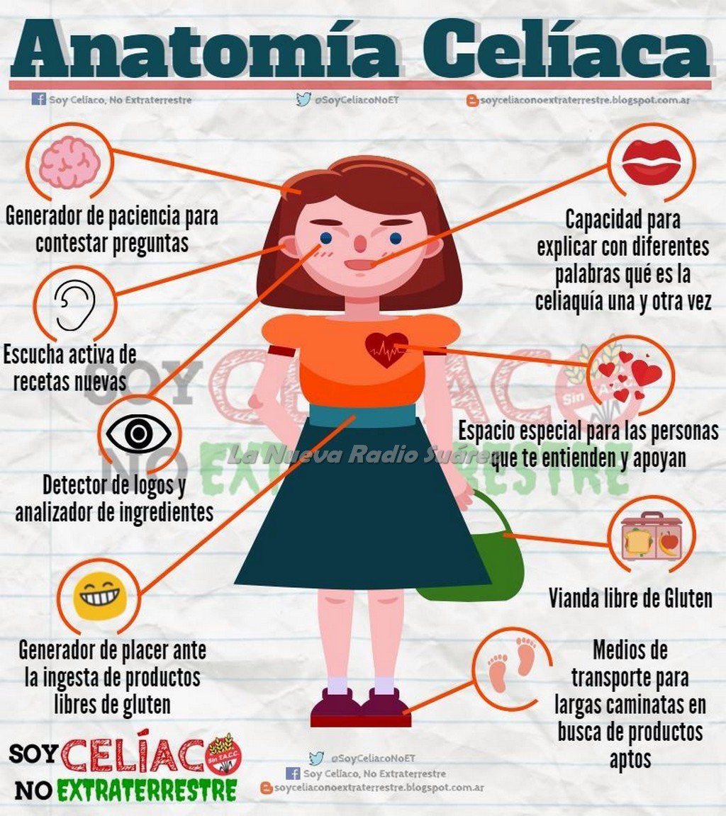 S Ntomas Y Diagn Stico De La Celiaqu A El Proceso En Primera Persona